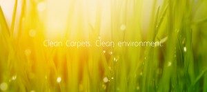 tagline banner