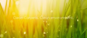 clean carpets banner