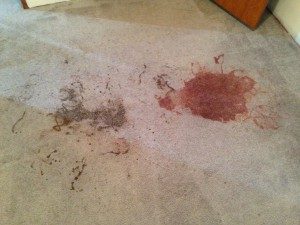 carpet cleaning asheville, tough stains