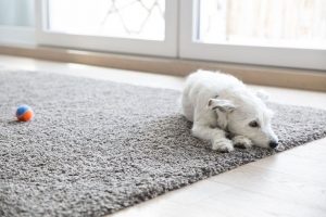 vacuuming frequency