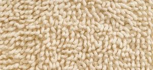 carpet care