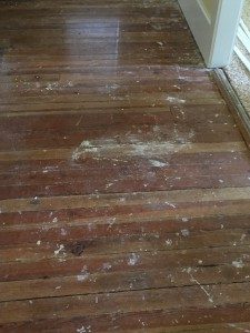 asheville hardwood floor cleaning