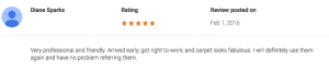 carpet cleaner - customer review