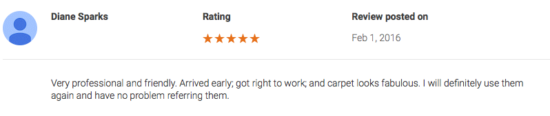 carpet cleaner customer review