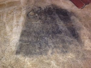 wnc carpet cleaning, western north carolina, carpet cleaners