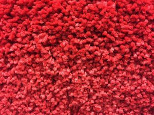 carpet cleaning arden nc