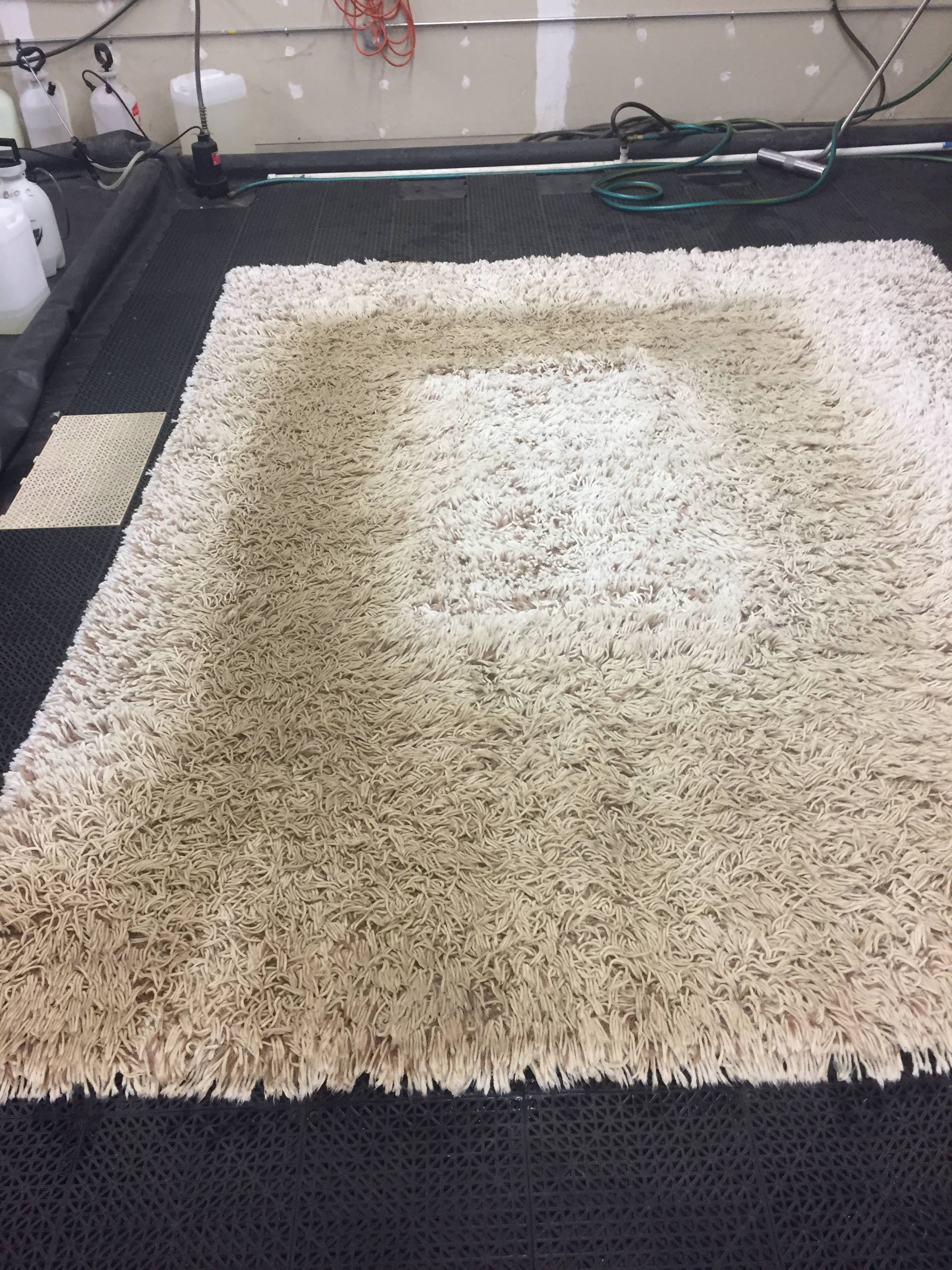 Area Rug Cleaning Company Near Me Hampstead Nc