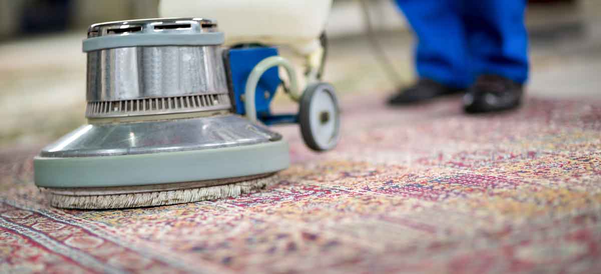 How to Clean an Area Rug Like a Pro