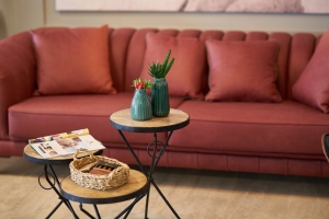 spring cleaning upholstery
